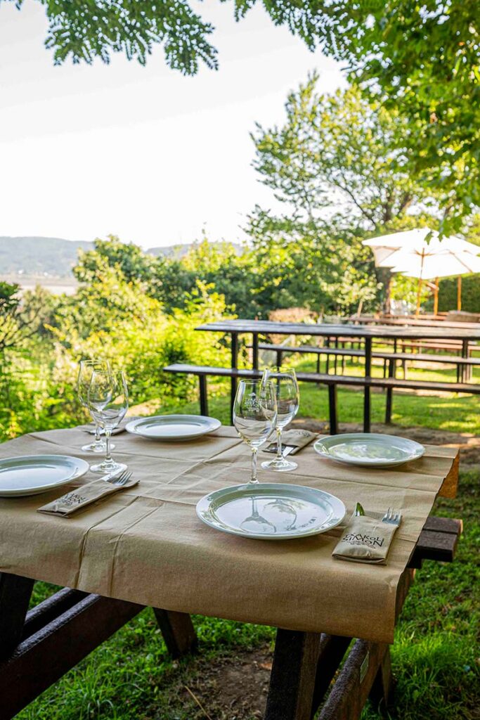 Asador con campa en Bilbao | Txakoli Simon 3